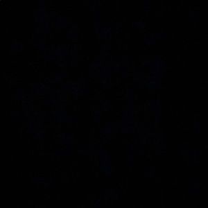 Meet your Posher, Mackenzie